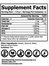 Load image into Gallery viewer, Omega 3 Fish Oil-Lemon Flavor