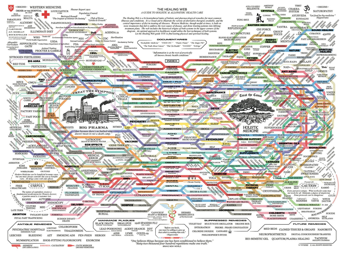THE HEALING WEB