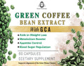 Green Coffee Bean Extract with GCA